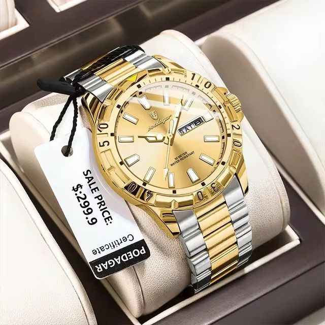 High Quality POEDAGAR Luxury Men’s Watch