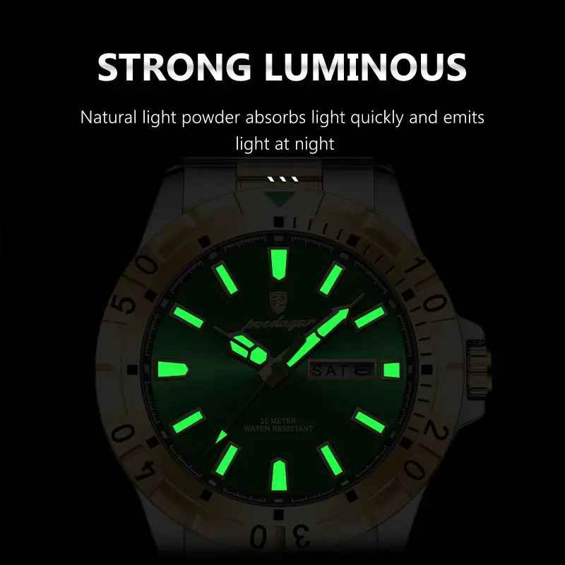 High Quality POEDAGAR Luxury Men’s Watch