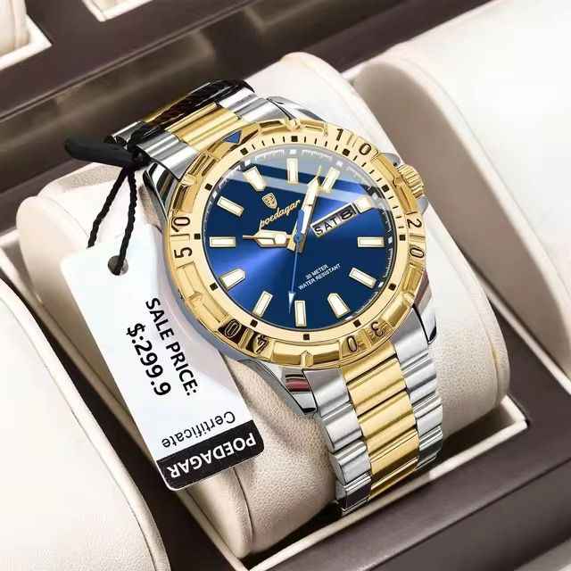 High Quality POEDAGAR Luxury Men’s Watch